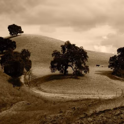 Happens Convenient Lost