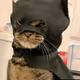 Nemeck`s