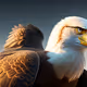 eagle