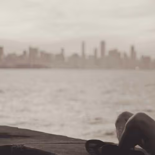 Davidson Fashion Feeds