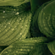 le23