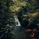 High Shoals