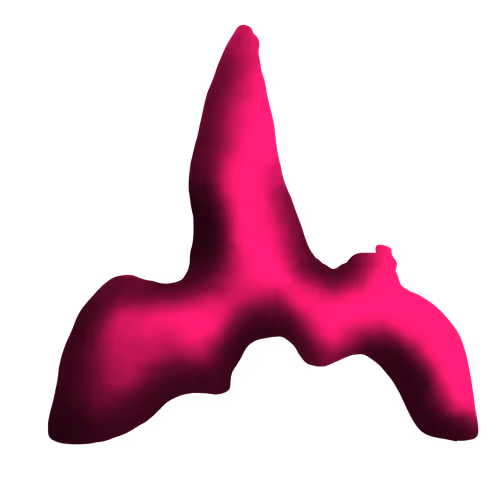 𝐙𝐎𝐑𝐁 𝐂𝐀𝐍𝐕𝐀𝐒