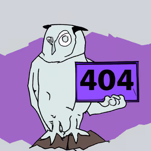 Snowy Owl Memes