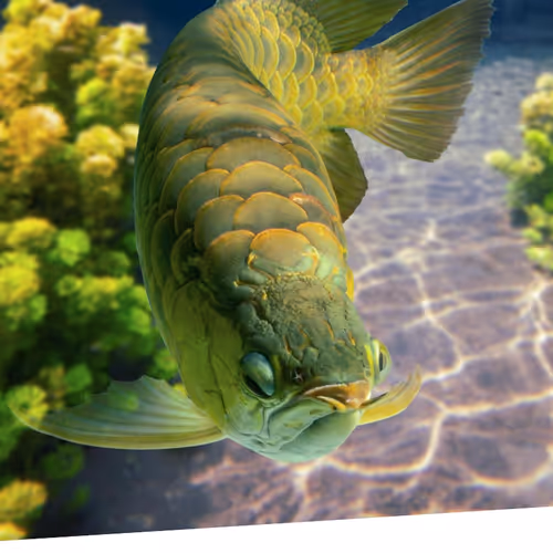 FISH