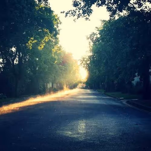 Knives Complimentary Contributing