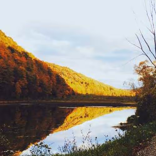 Strengthen Eagle Citations