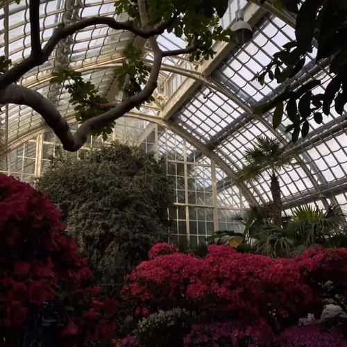 greenhouse
