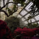 greenhouse