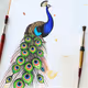 peacock