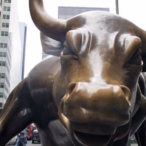 Bull