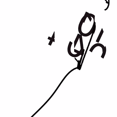 nanuk