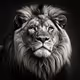 King of the Jungle