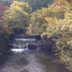The Faraway River
