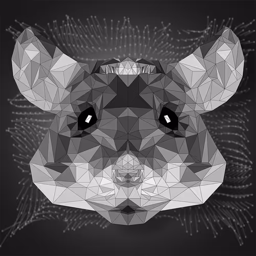 Geometric Mouse