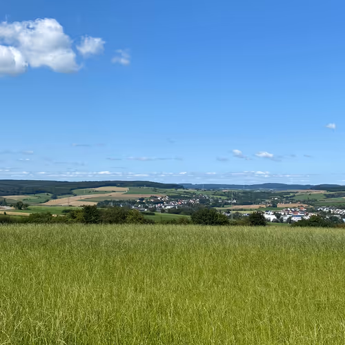 Landscape