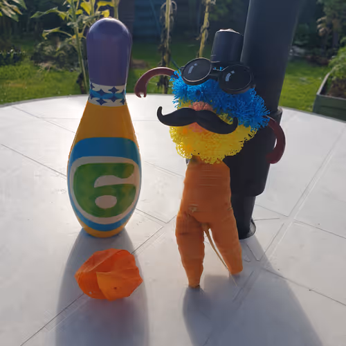 Mr Carrot