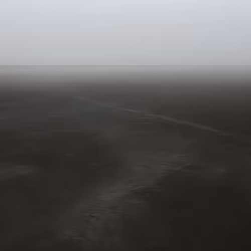 Mud Land