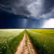 Storm’s Edge