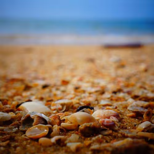 Midnight Floor Investment