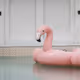 pinkpink