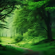 Green Forest