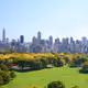 ny park