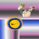 Zora Posts