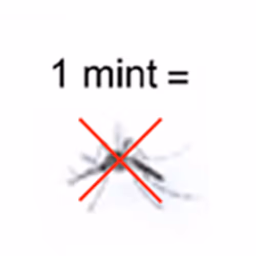 ❌ mosquito
