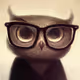 CleverOwl