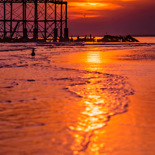 Bradley Moon Editions