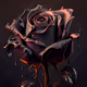 Rose_era