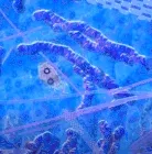 M̶̦͘Ő̵̩̮̞̪̤͙̗̍̈́̔̐̋̌͒̽̕͜Ĺ̸̝͉͚͌͊̚̚̕͝E̷̞̋̏̐̋̀́̅͝Ĉ̸͙͎̗͖̪̘Ų̵̞̭̫̟͖̰̺͓͈̅͒L̶̹̟̱̥̙̻̗̿̓͆Ë̷́̌̐̈͝͝