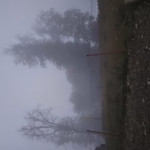 Mist