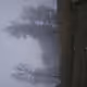 Mist