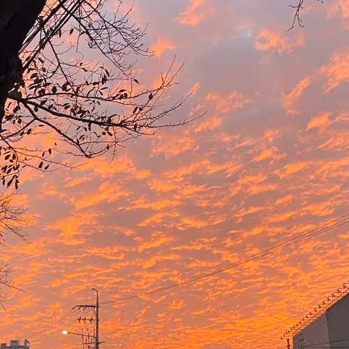 <Fantastic Sky>