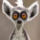 Funny Animals