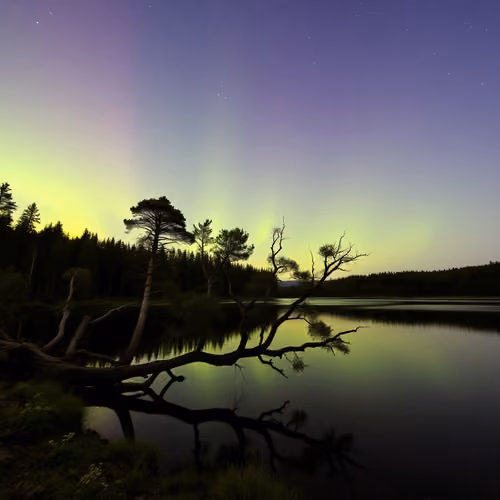 night with the aurora