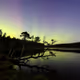 night with the aurora