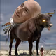 THE BULL IS BACK