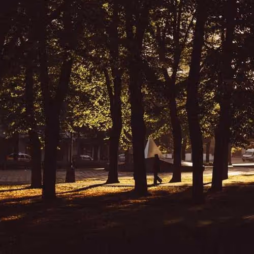 Comparison Tgp Space