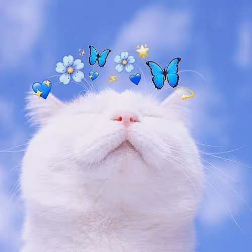 cat with butterflies