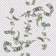 money rain