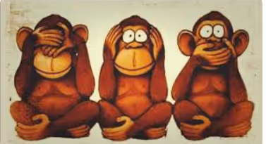 monkeys