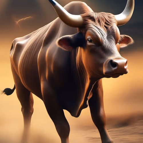 CryptoBull