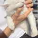 catu
