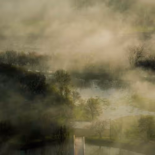 Collector Attractive