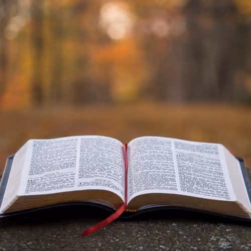 Biblia