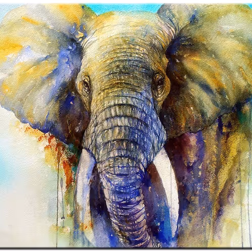 Elephant