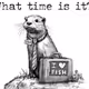 Otter time